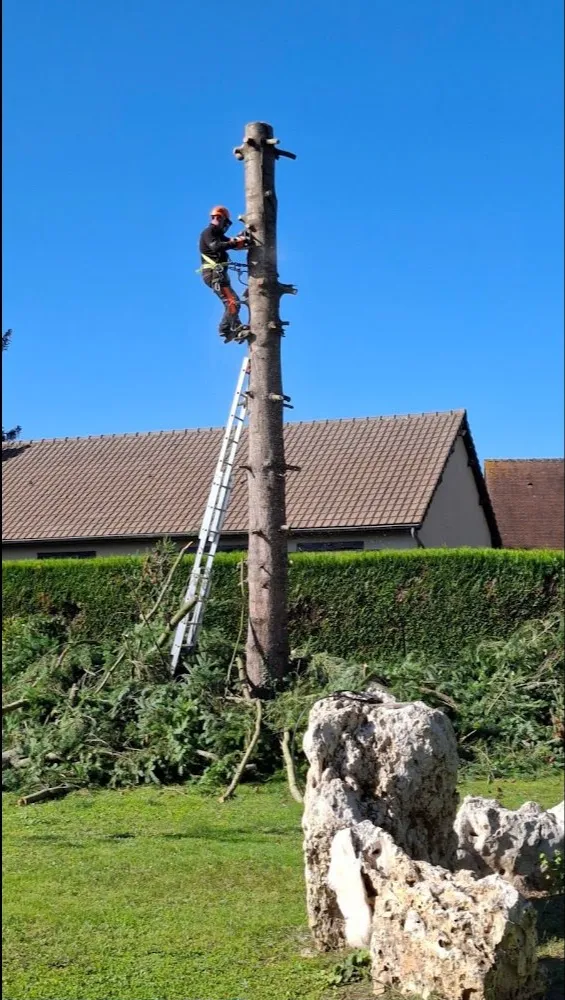 Élagueur et jardinier à Vannes, Entreprise Georges
